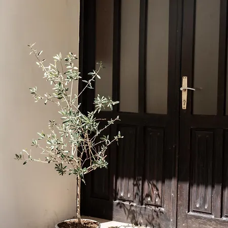 Apartamento Garden